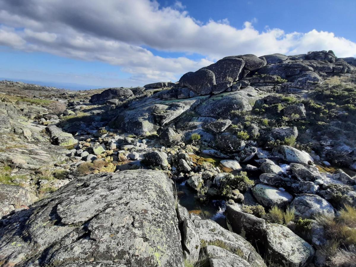 Casa Da Bela Vista - Serra Da Estrela Covilhã Kültér fotó